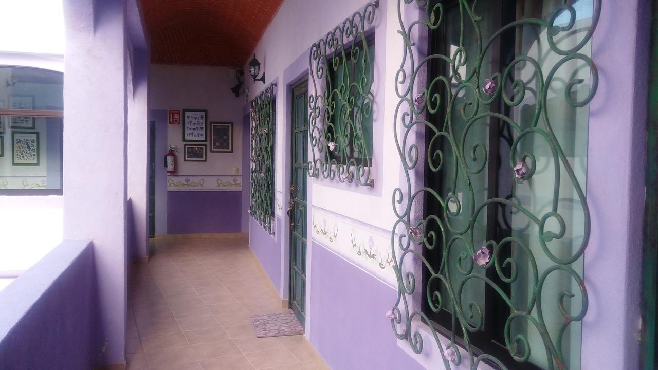 Hotel Vida En Rosas Bernal Bagian luar foto
