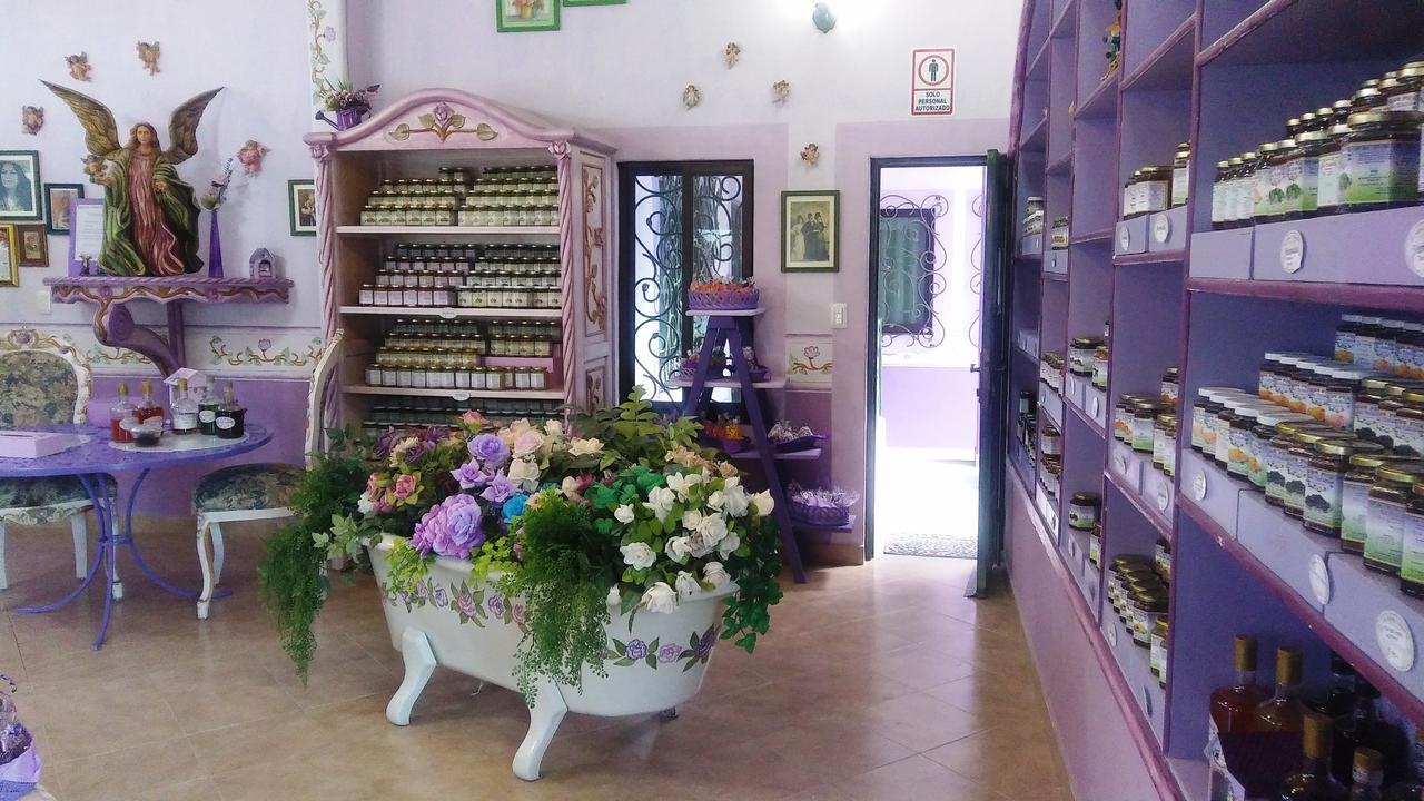 Hotel Vida En Rosas Bernal Bagian luar foto
